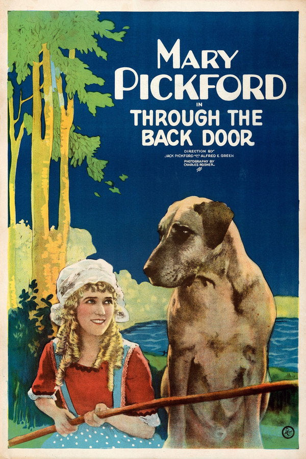 Through the Back Door (1921) - Premium Movie Poster