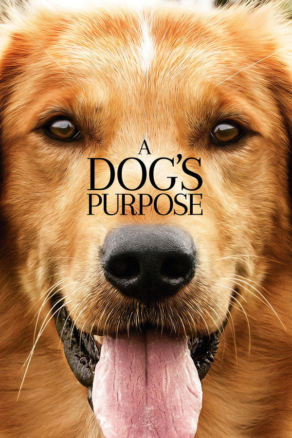 A Dog's Purpose (2017) - Premium Movie Poster