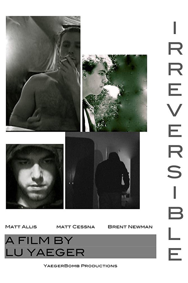 Irreversible (2002) - Premium Movie Poster