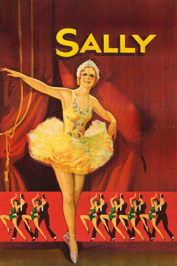 Sally (2025) - Premium Movie Poster