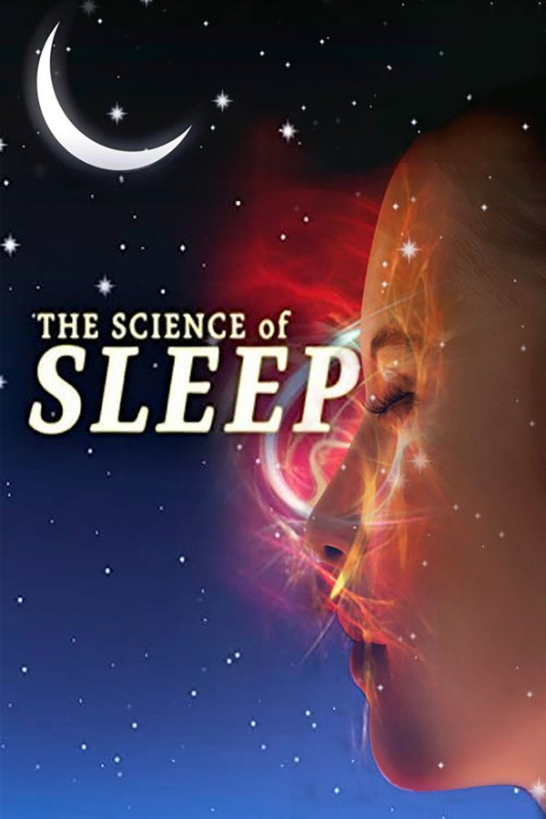 The Science of Sleep (2006) - Premium Movie Poster