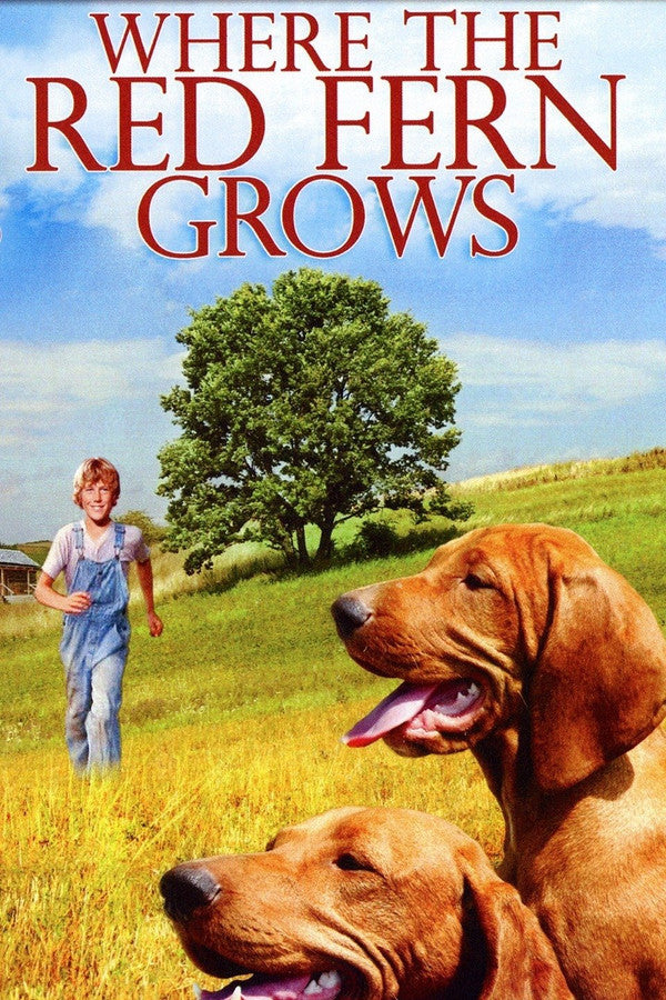 Where the Red Fern Grows (1974) - Premium Movie Poster