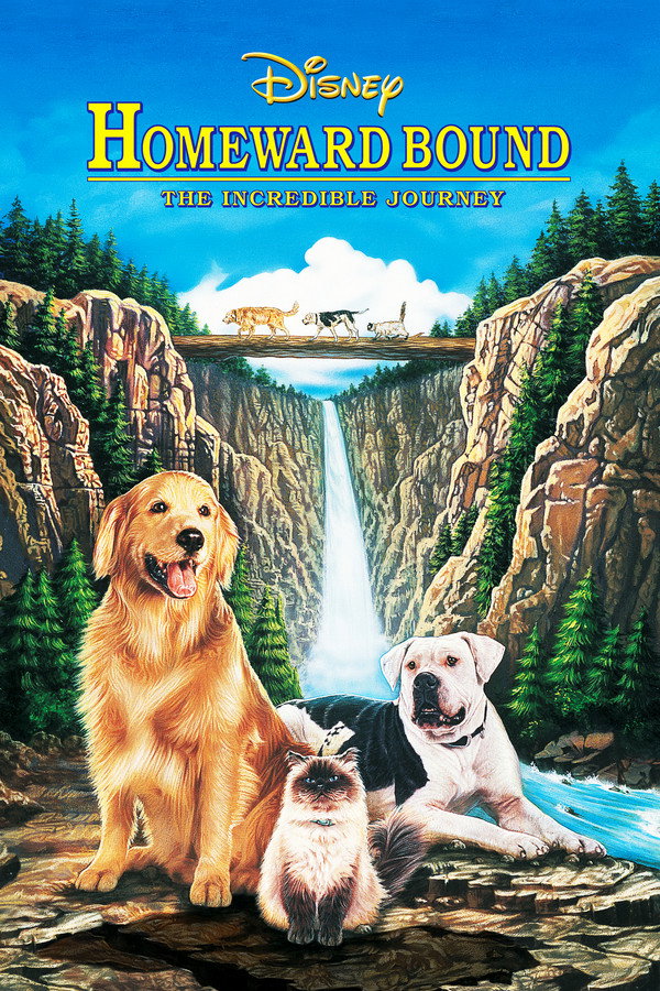 Homeward Bound: The Incredible Journey (1993) - Premium Movie Poster