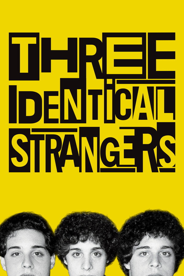 Three Identical Strangers (2018) - Premium Movie Poster