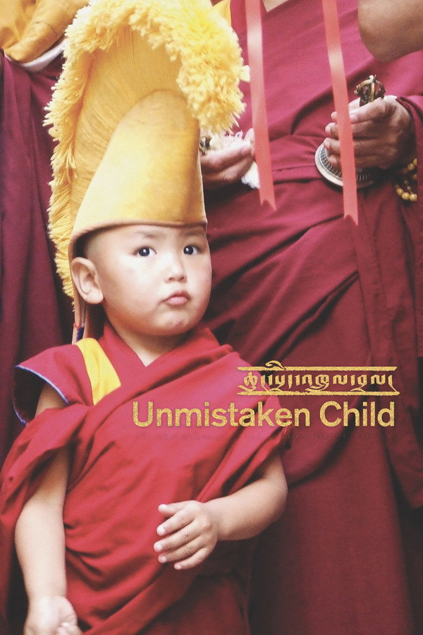 Unmistaken Child (2008) - Premium Movie Poster