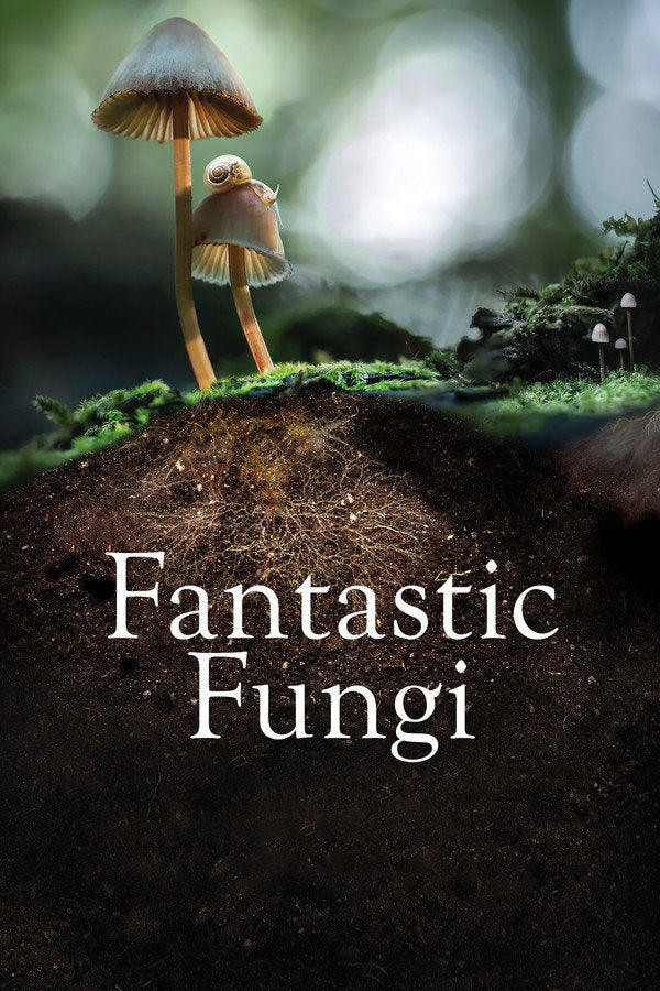 Fantastic Fungi (2019) - Premium Movie Poster