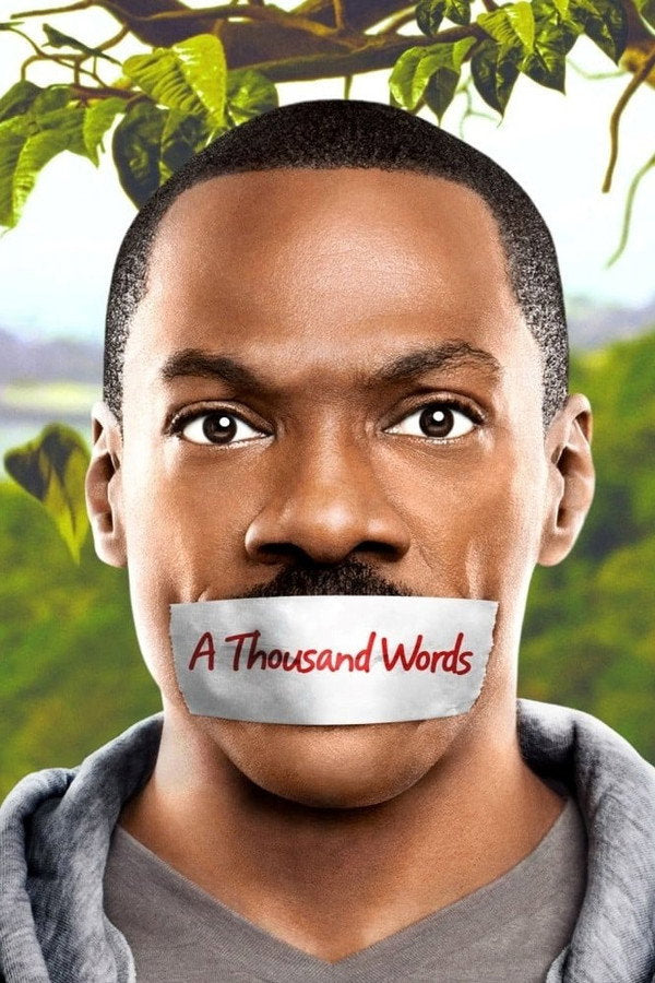A Thousand Words (2012) - Premium Movie Poster