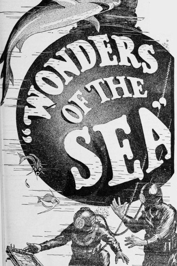 Wonders of the Sea (2019) - Premium Movie Poster