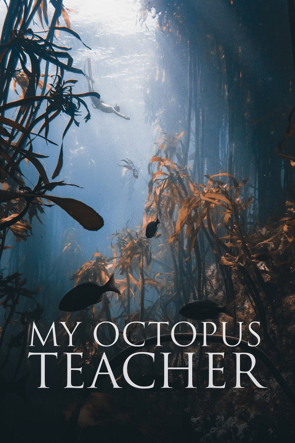 My Octopus Teacher (2020) - Premium Movie Poster