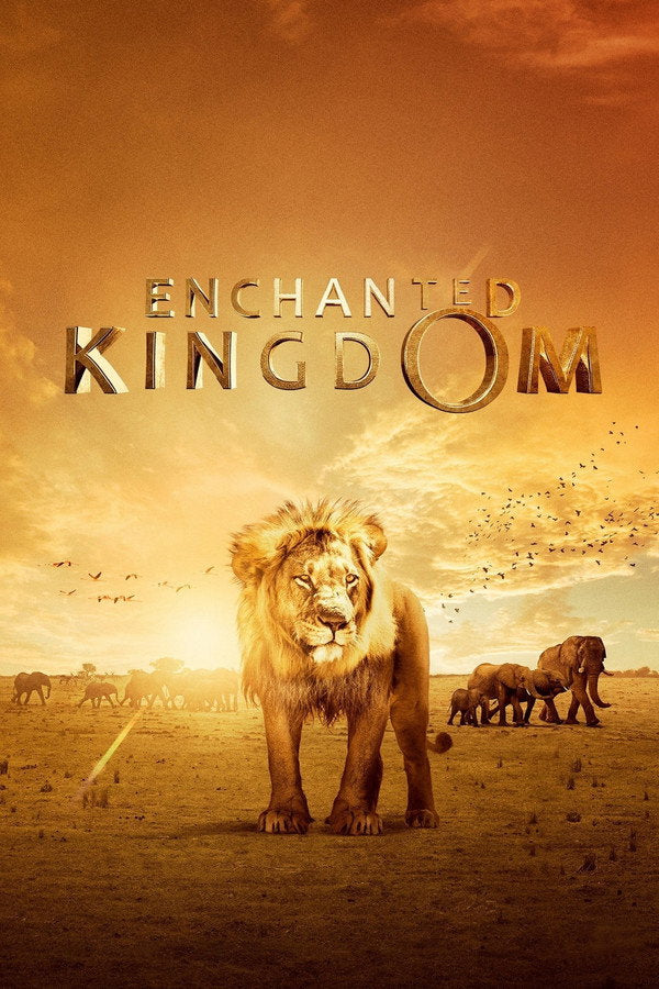 Enchanted Kingdom (2014) - Premium Movie Poster