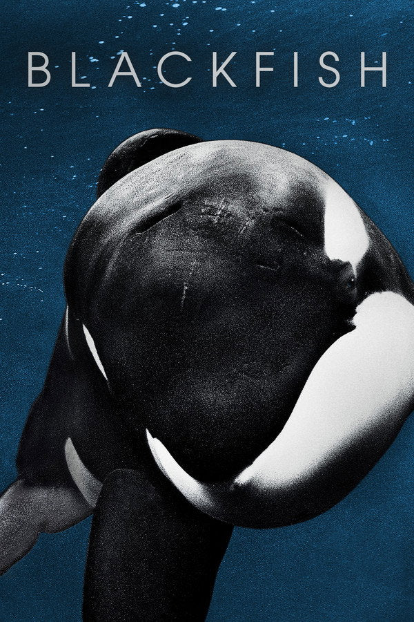 Blackfish (2013) - Premium Movie Poster