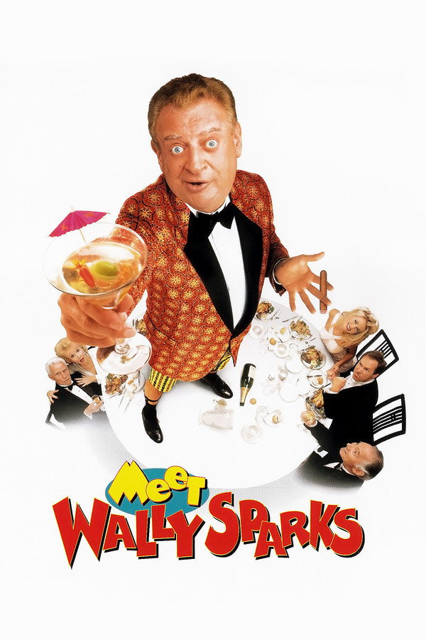 Meet Wally Sparks (1997) - Premium Movie Poster