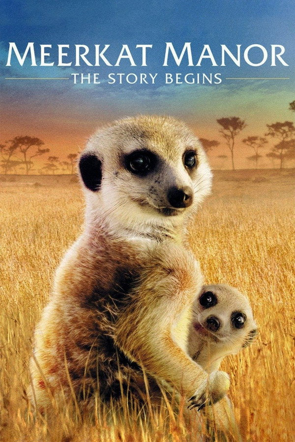 Meerkat Manor: The Story Begins (2008) - Premium Movie Poster