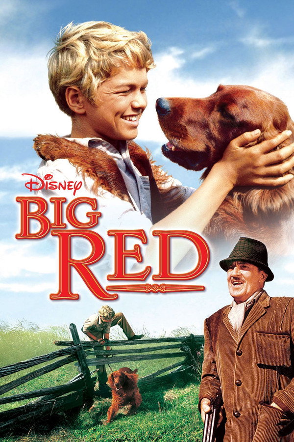 Big Red (1962) - Premium Movie Poster