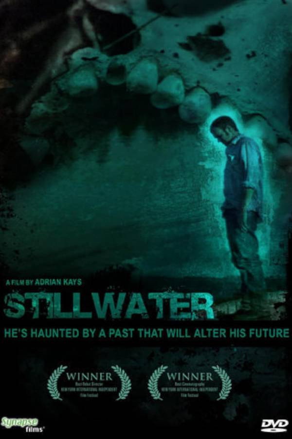 Stillwater (2021) - Premium Movie Poster