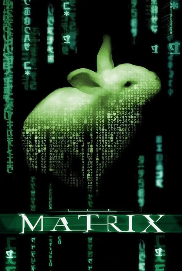The Matrix (1999) Iconic Sci-Fi Action Wall Art Poster - Premium Movie Poster