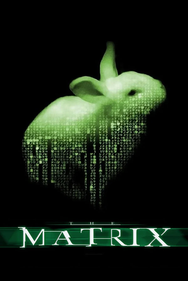 The Matrix 1999: Neo's Iconic Red Pill Wall Art Print - Premium Movie Poster