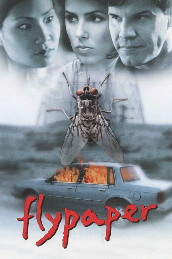 Flypaper (2011) - Premium Movie Poster