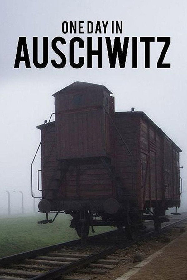 One Day in Auschwitz (2015) - Premium Movie Poster