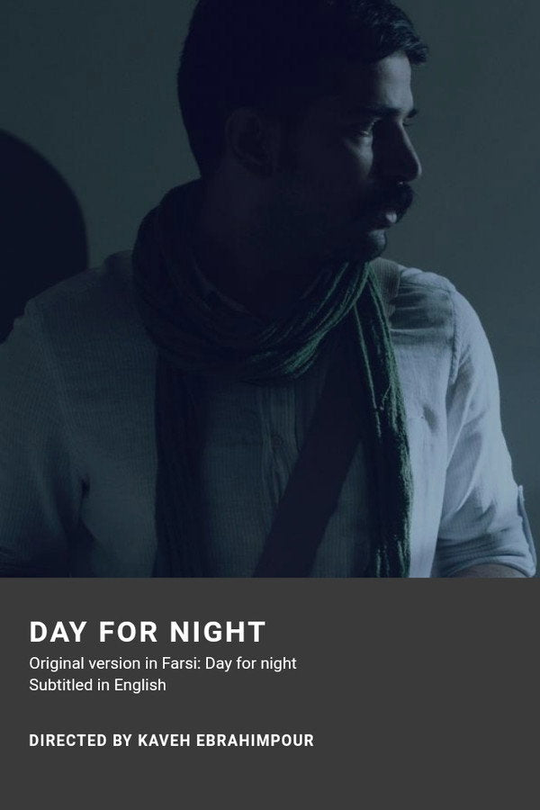 Day for Night (1973) - Premium Movie Poster